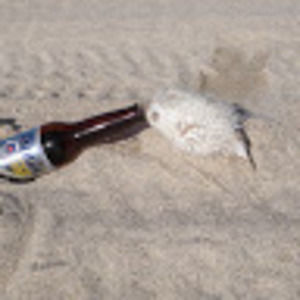 Meet your Posher, Kelli